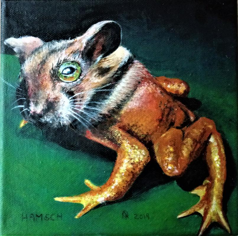 Der HAMSCH (mantidactylus guttulatus cricetus), 2019 acryl auf leinwand, 20 x 20 cm